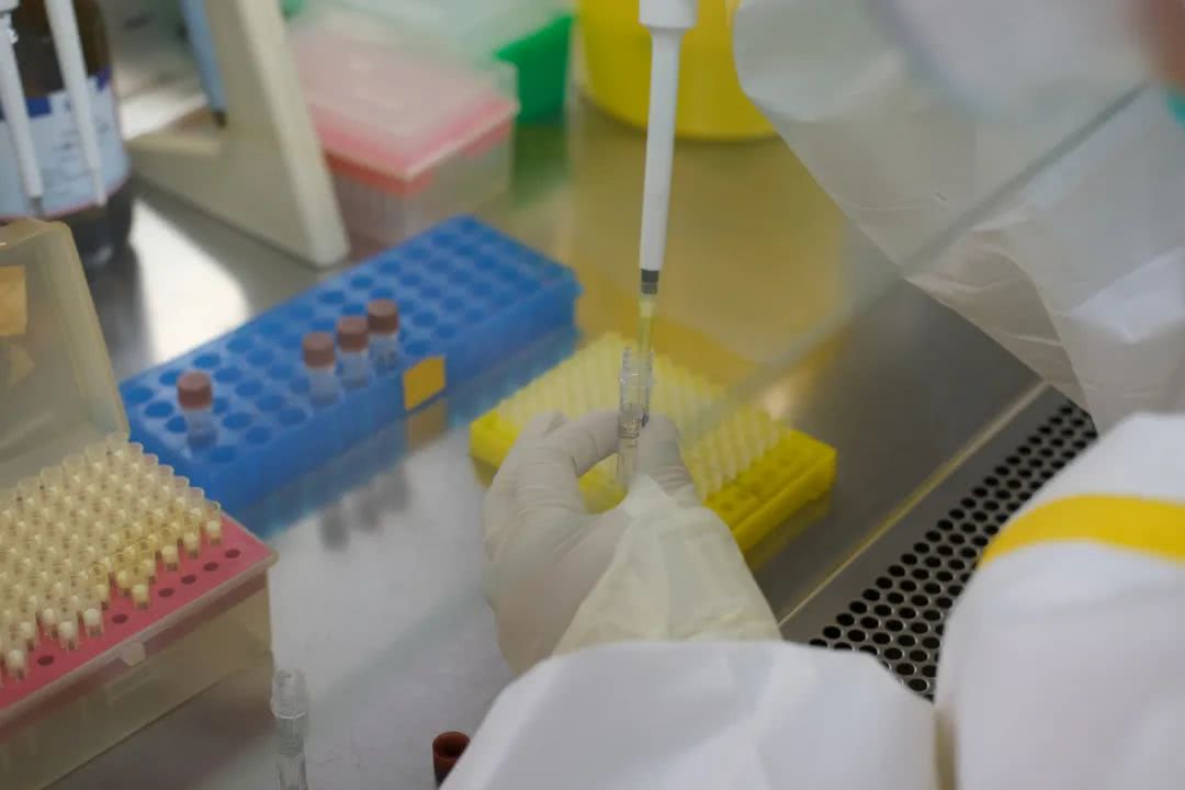 核酸檢測又降價(jià)！多地增設(shè)24小時(shí)檢測服務(wù)機(jī)構(gòu)